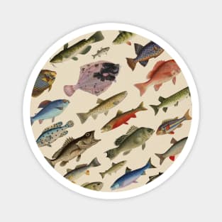 Fishes Magnet